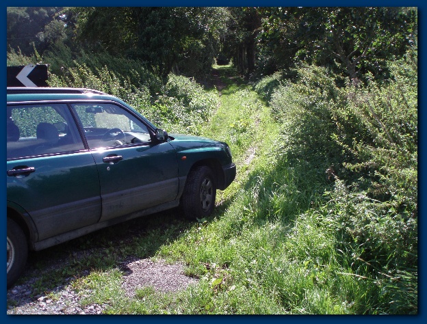 600x449 pixels (200K)